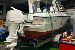 Barca Ilver 630 fuori bordo Suzuki df140