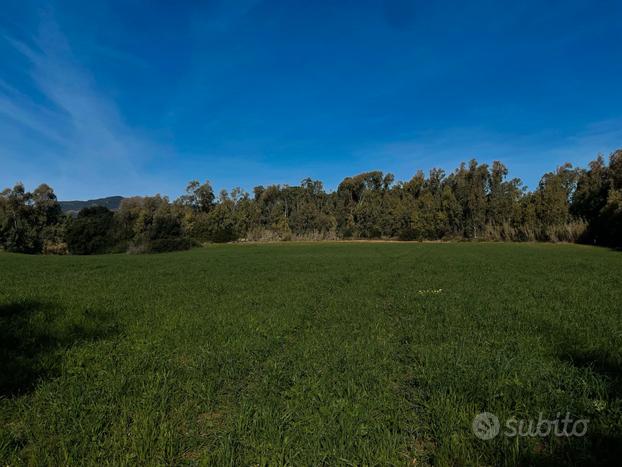 Alghero TERRENO DI 2 ETTARI