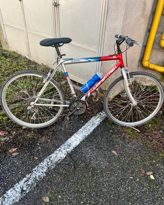 Bici mtb