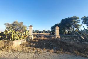 Terreno agricolo edificabile