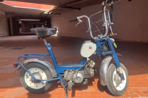 Benelli Go-ben 50