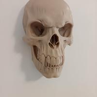 Teschio Vampiro da appendere, decorazione casa