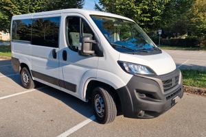 Fiat Ducato L1H1 Luxusbus Panorama 