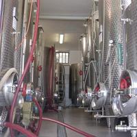 Materiale da cantina