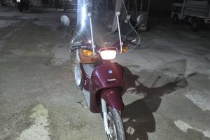 Piaggio Free 50