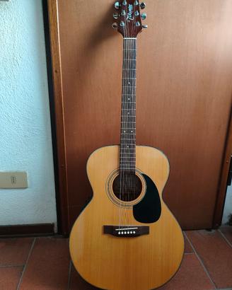 Takamine EG 230
