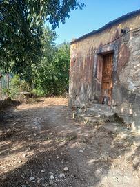 Rudere con terreno piante di ulivo