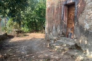 Rudere con terreno piante di ulivo
