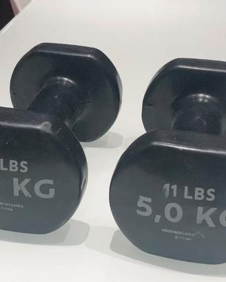 Manubri 5 kg