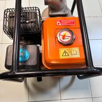 Moto pompa a benzina