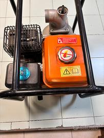 Moto pompa a benzina