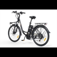 Bici elettrica (con acceleratore)