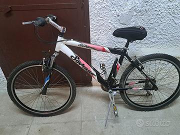 Mountain bike