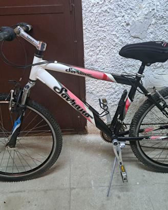 Mountain bike