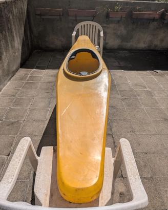 Kayak canoa polo