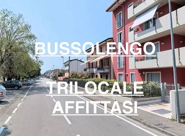 BUSSOLENGO_CENTRO_TRILOCALE_RISTRUTTURATO
