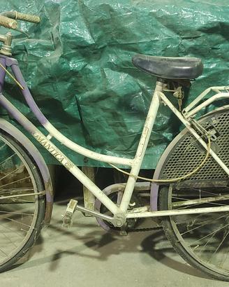  bici donna
