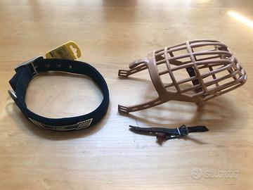 Collare in nylon per cane