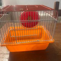 Gabbietta per criceti orsetti russi