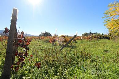 TER. AGRICOLO A REGGIO DI CALABRIA