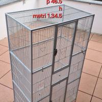 Gabbia per pappagalli