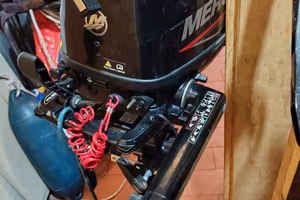 Motore Fuoribordo Mercury SailPower 5 CV