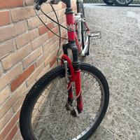 Bici