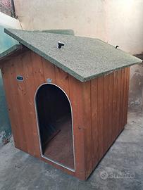 casetta x cane