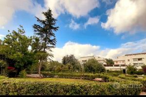 Casa vacanza Cirella di Diamante