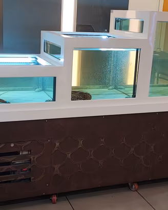 Vasca Crostacei Ristorante 300L