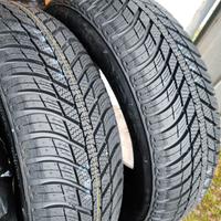 gomme 4 stagioni Nexen