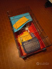 Gabbia per roditori