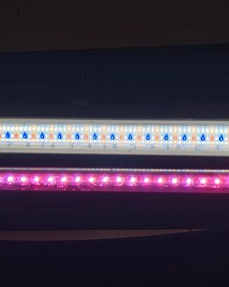 lampade led Easy controll 2 
