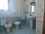 Immagine 7