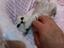 Immagine 4