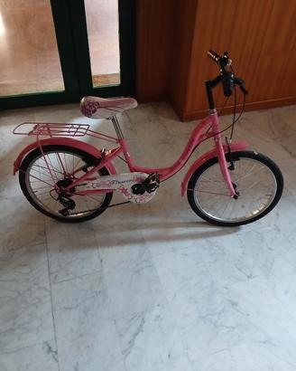Bicicletta