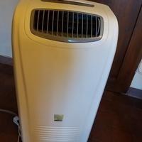 Condizionatore portatile Rex