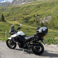 Vendita Tiger 800 Xrx