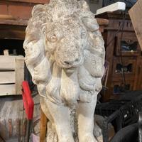 Leone da esposizione