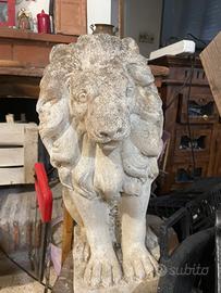 Leone da esposizione