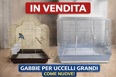 Gabbie in grande - nuova