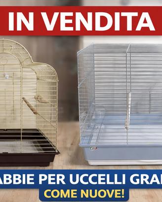 Gabbie in grande - nuova