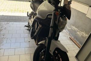 Fz6 S2