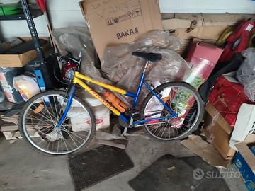 muntanbike donna da 24 