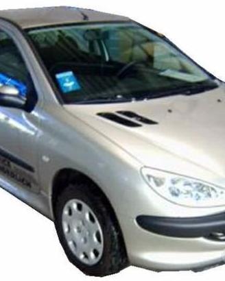 Ricambi auto nuovi Peugeot 206 dal 1998 al 2009