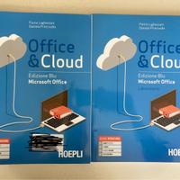 Office and cloud Ed blu. Lughezzani, Princivalli