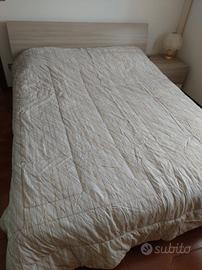 Piumone matrimoniale Zucchi 