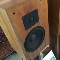 Chario Syntar 2 diffusori acustici ( Made in Italy