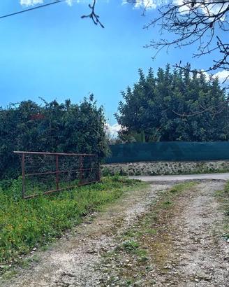 Terreno - Palazzolo Acreide