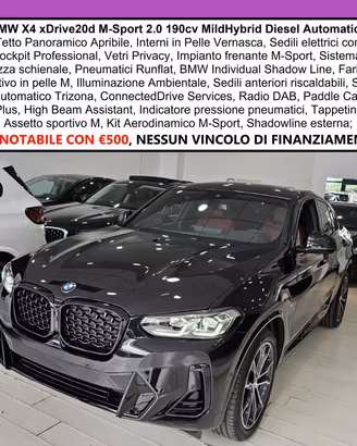 BMW X4 XDrive20d M-Sport C20" TETTO Navi CAM LED 